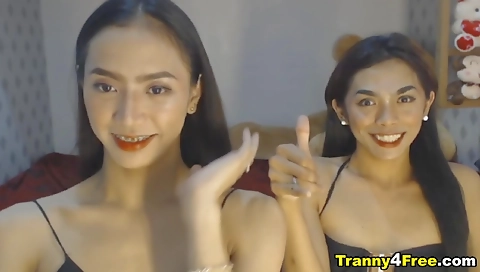 Shemale asian double cock blowjob in hardcore video